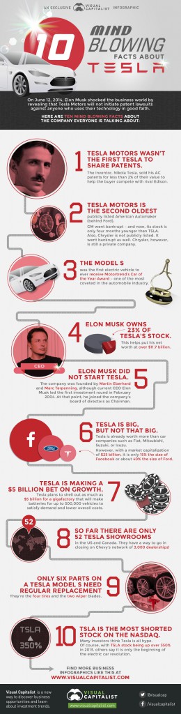 Infografik  10 Fakten über den Elektroauto-Hersteller Tesla Motors